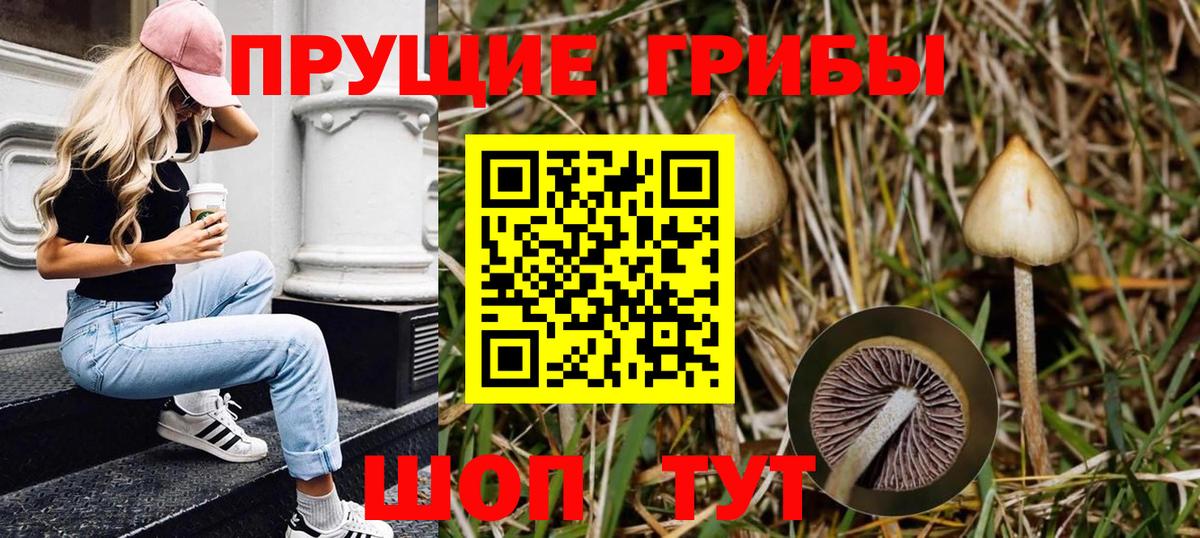 Галлюциногенные грибы GOLDEN TEACHER Коломна